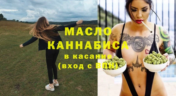 индика Михайлов